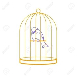 Meet your Posher, Danny